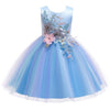 Baby Embroidery Lace Tutu