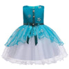 Baby Embroidered Formal Princess Dress