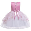 Baby Embroidered Formal Princess Dress