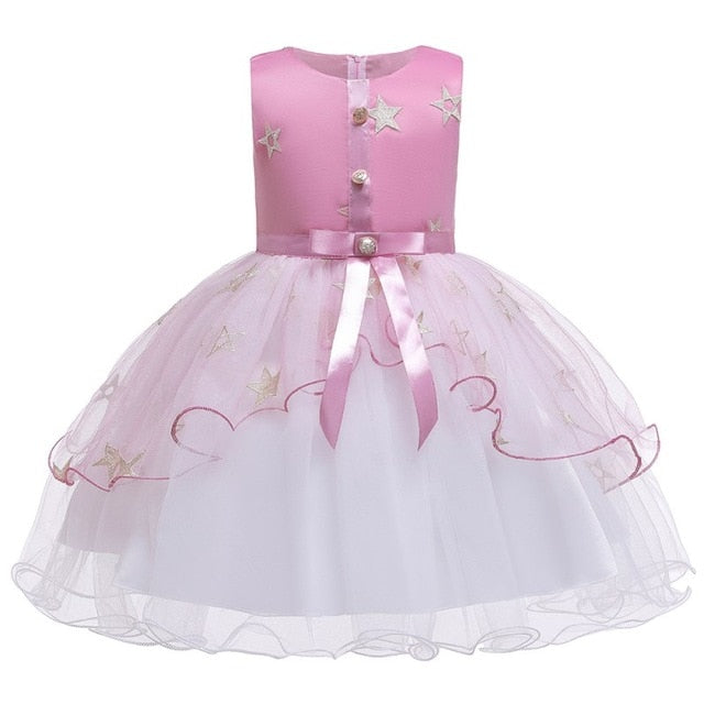 Baby Embroidered Formal Princess Dress