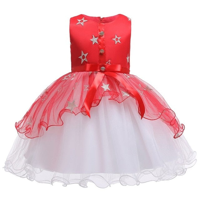 Baby Embroidered Formal Princess Dress