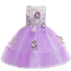 Girls Princess Flowers Ball Gown