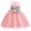 Baby Girl Princess Dresses