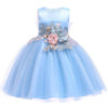 Baby Girl Princess Dresses