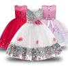 Baby Embroidered Formal Princess Dress